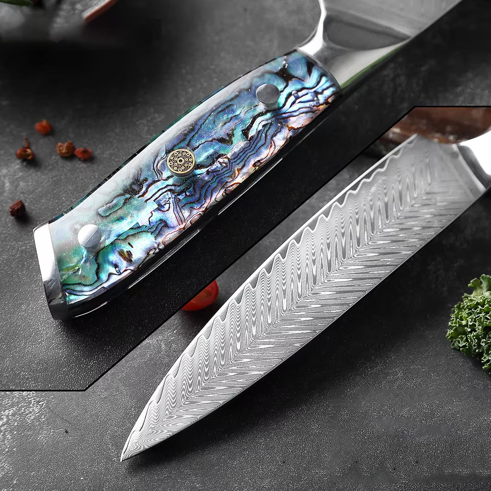 Damascus Steel Chef's Knife with Abalone Handle