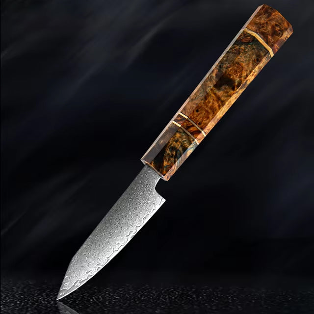 Japanese Damascus Steel Kitchen Knife Set with colored Handle