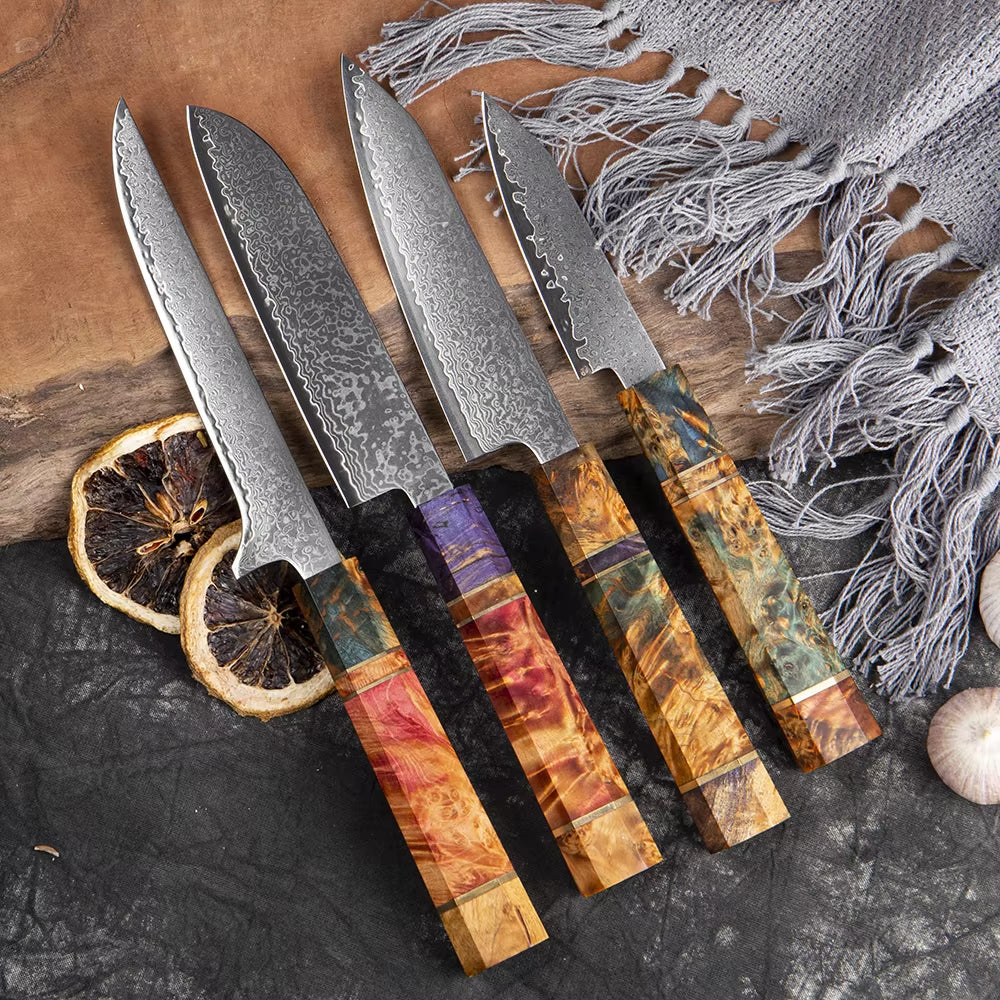 Japanese Damascus Steel Kitchen Knife Set with colored Handle