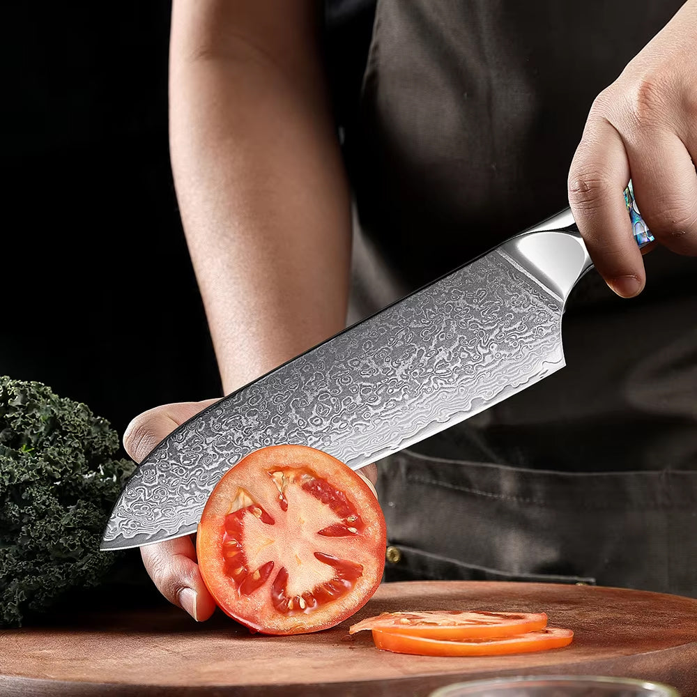 Japanese Damascus Steel Knife With Abalone Handle