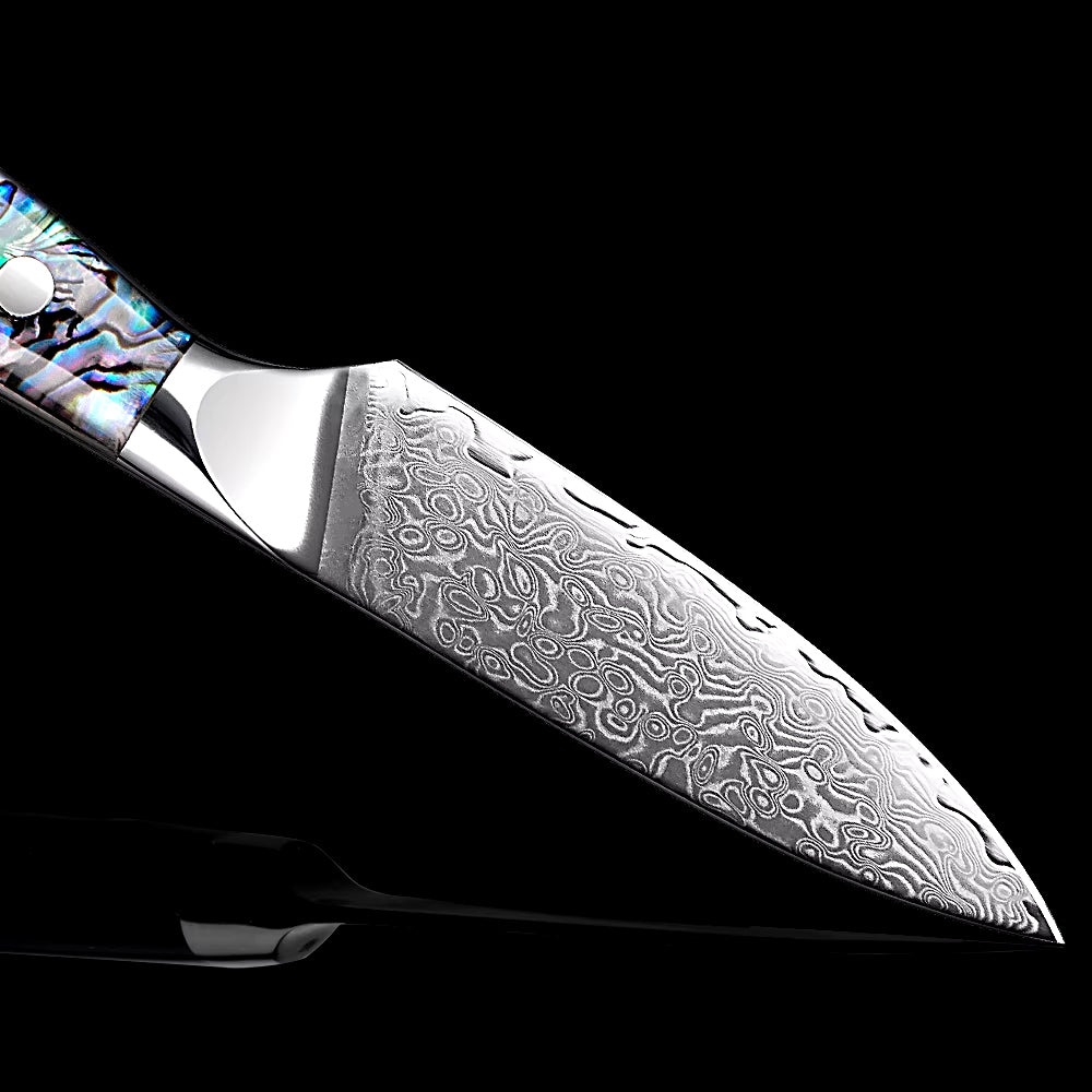 Japanese Damascus Steel Knife With Abalone Handle