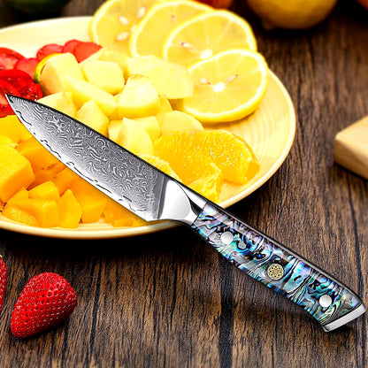 Japanese Damascus Steel Knife With Abalone Handle