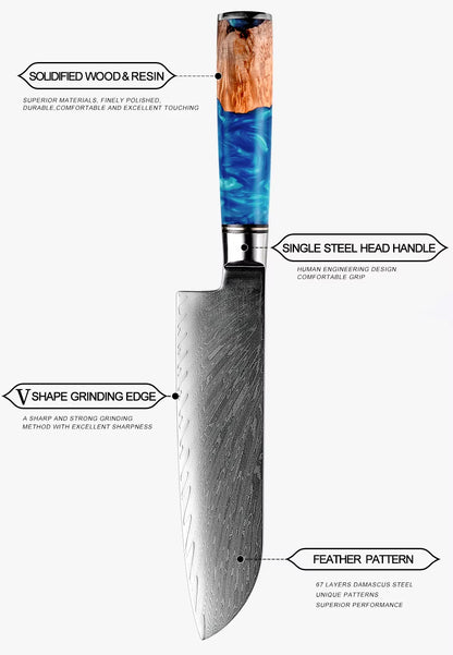 Japanese Damascus Steel Knife Set with Blue Resin Handle