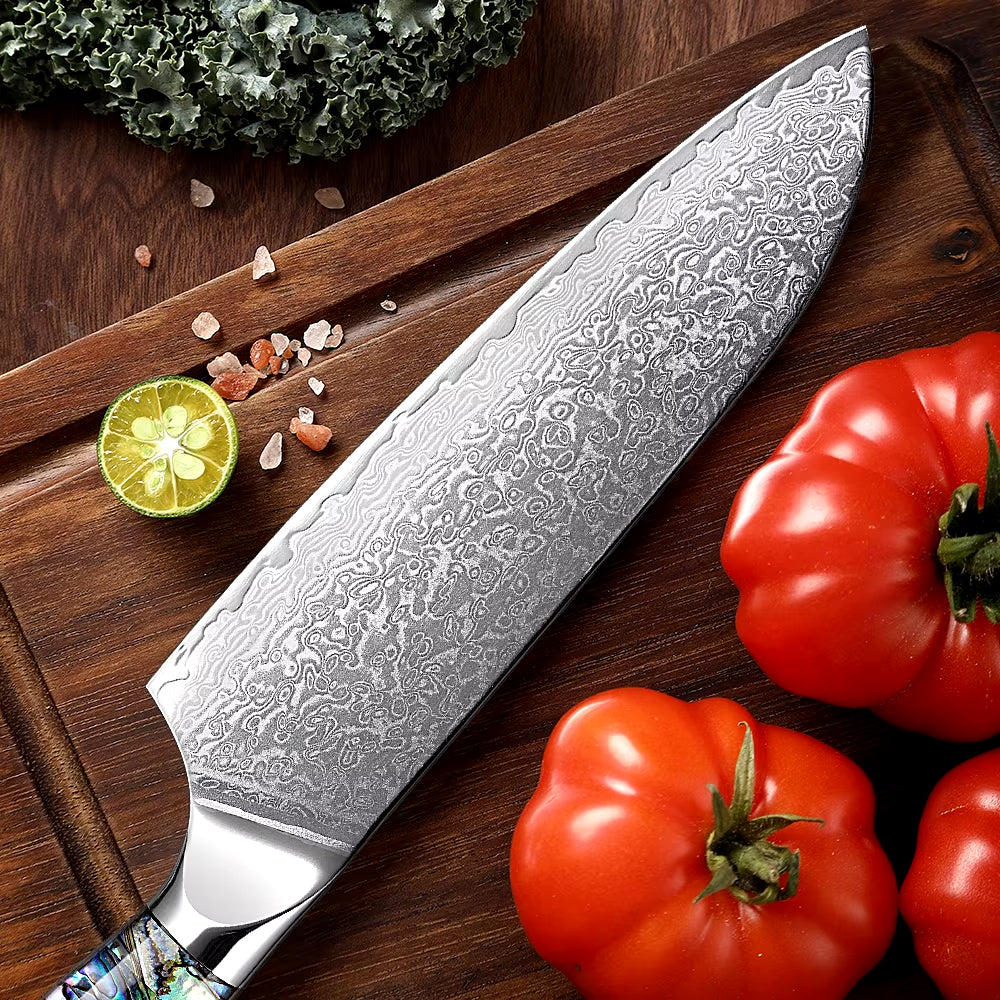 Japanese Damascus Steel Knife With Abalone Handle