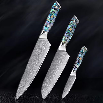 Japanese Damascus Steel Knife With Abalone Handle