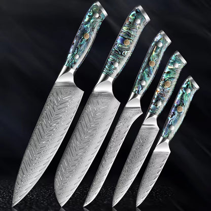 Japanese Damascus Steel Knife With Abalone Handle