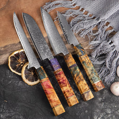 Japanese Damascus Steel Kitchen Knife Set with colored Handle