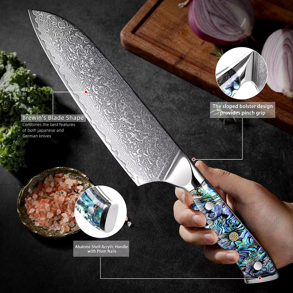 Japanese Damascus Steel Knife With Abalone Handle